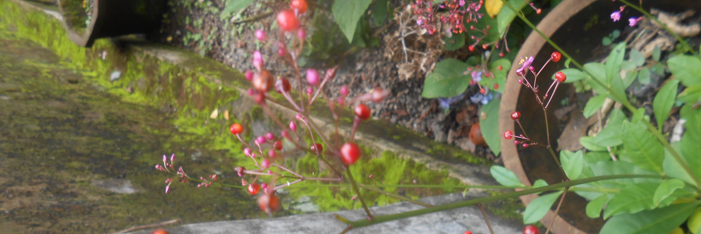 deniscaesar12's profile banner image