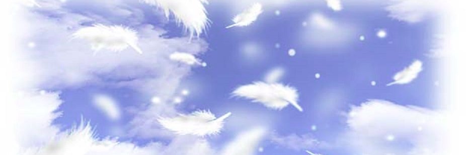 322nk_2nd's profile banner image
