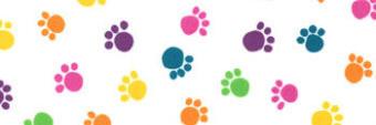 FindTheLostDogs banner