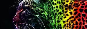 Letwo1989's profile banner image