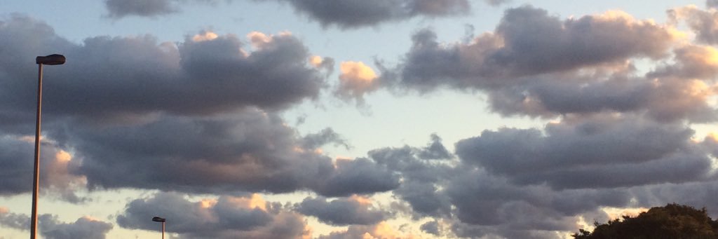 akumade_vampire's profile banner image