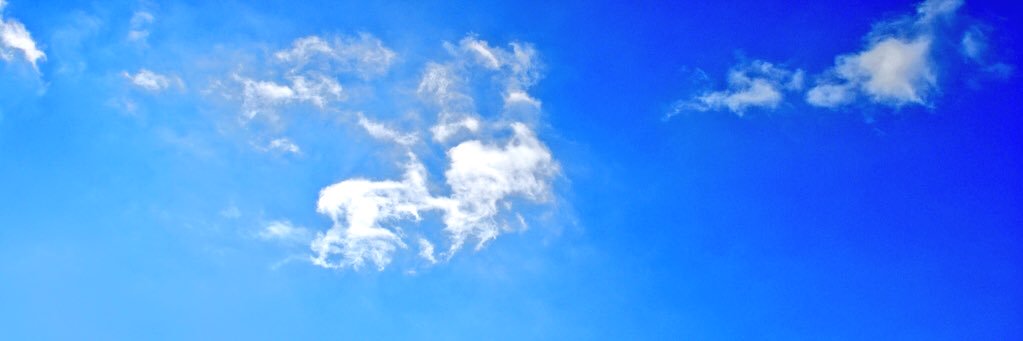 laurenbaffo's profile banner image