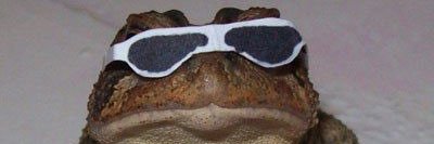 lowfatgogurt's profile banner image