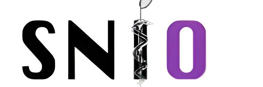 SNIO banner