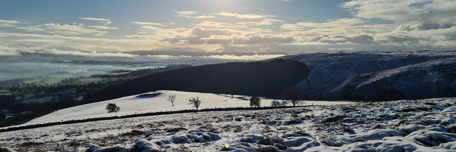 Elin_Woz's profile banner image