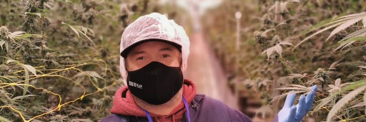 Knueppel Tassels (TS - Mr_Snap) banner