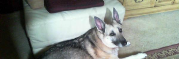 TechSpecMike Profile Banner