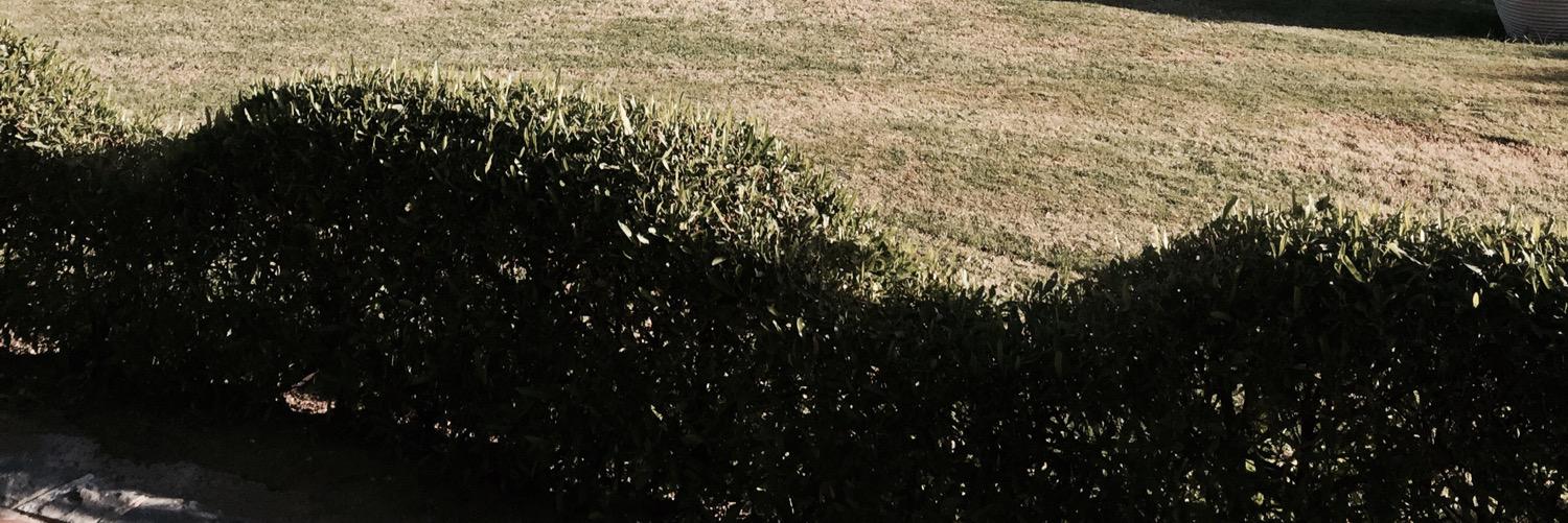 dmhafez's profile banner image