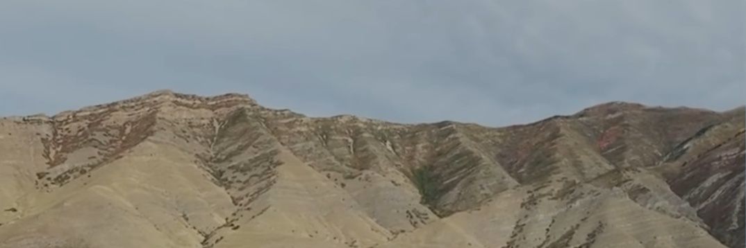 ppeemch's profile banner image