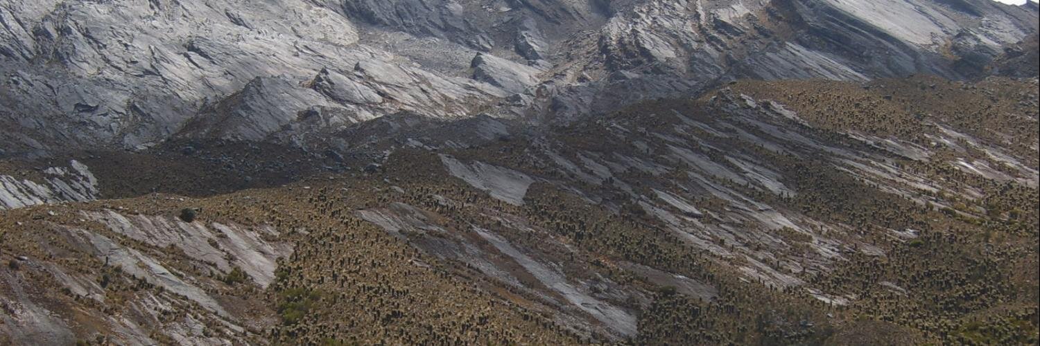 Daniel RuizCarrascal banner