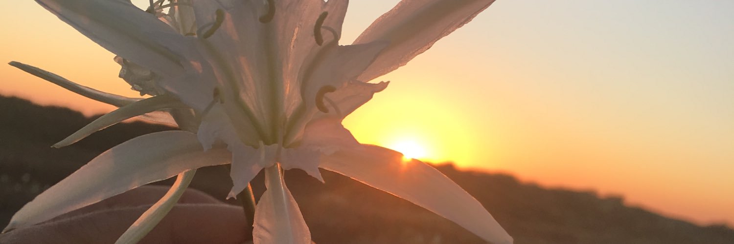 Zubizaretta10's profile banner image