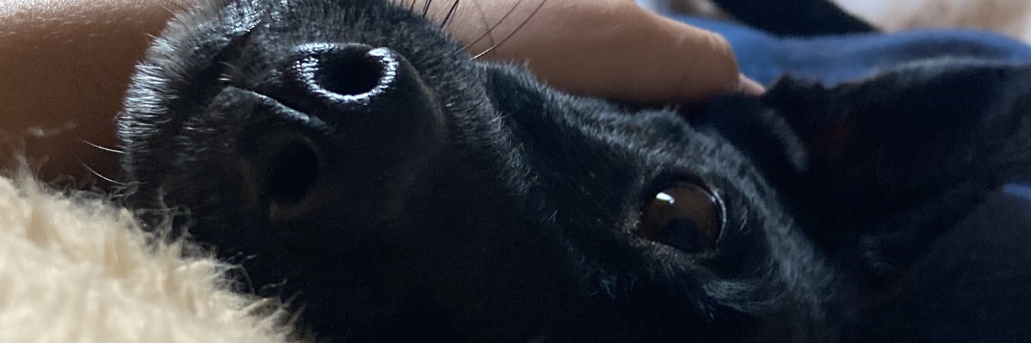 marcelaclaus_'s profile banner image