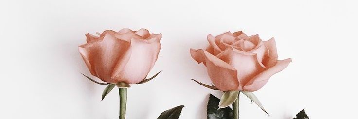 danicagmz's profile banner image