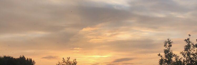 amy_crowson's profile banner image