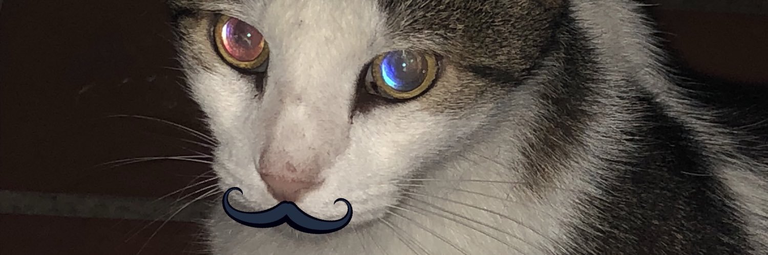 waffleswhee's profile banner image