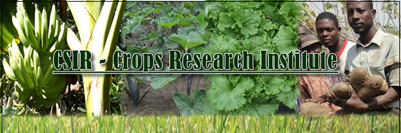 Crops Research banner