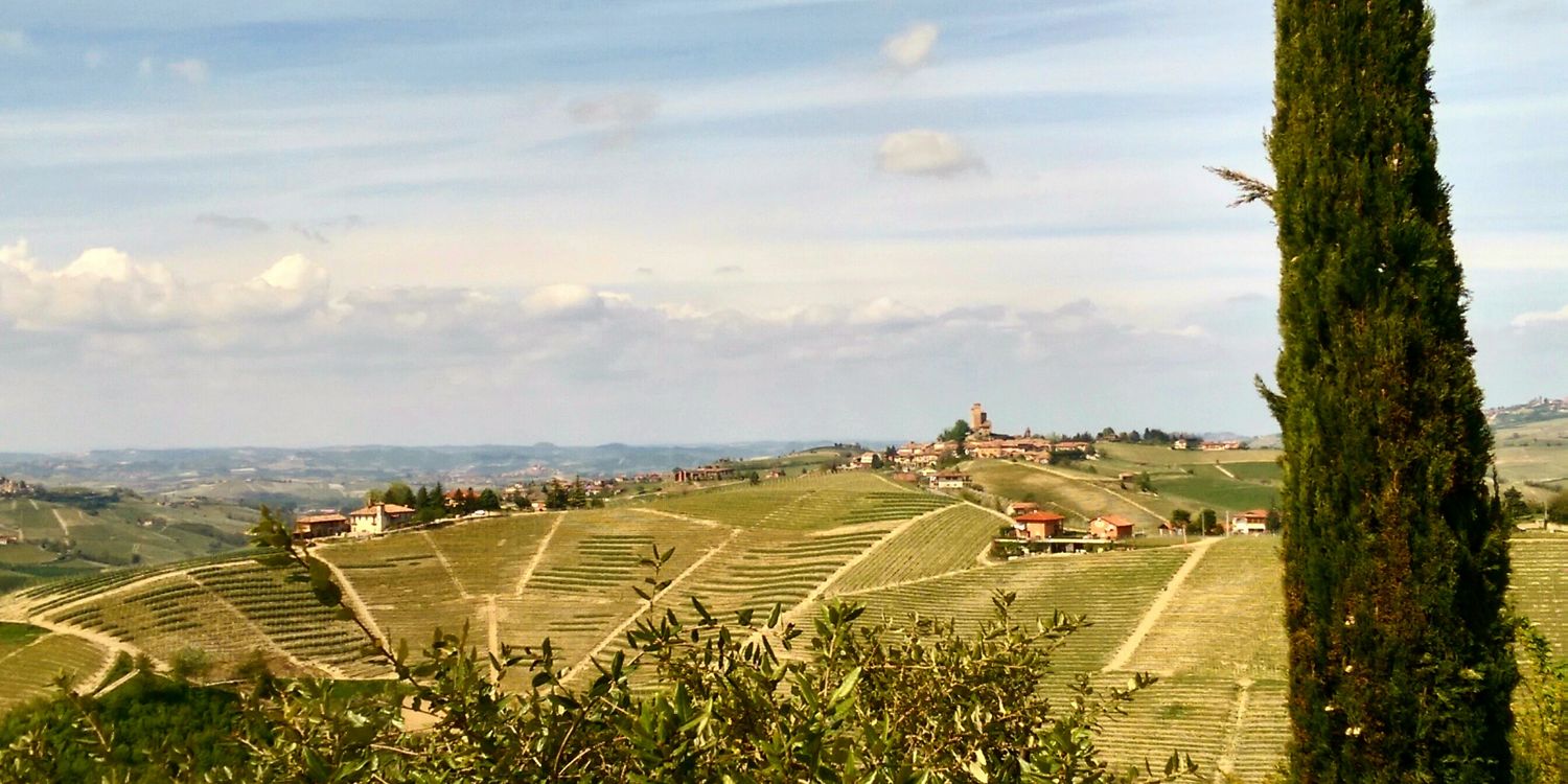 fchiara's profile banner image