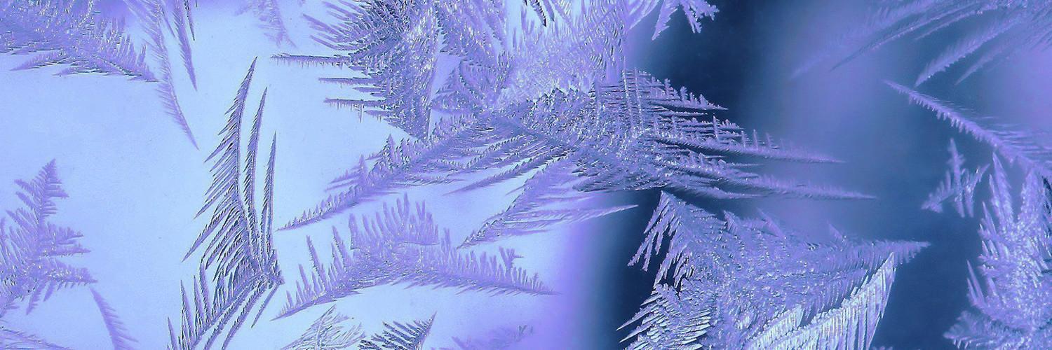 theNorthling's profile banner image