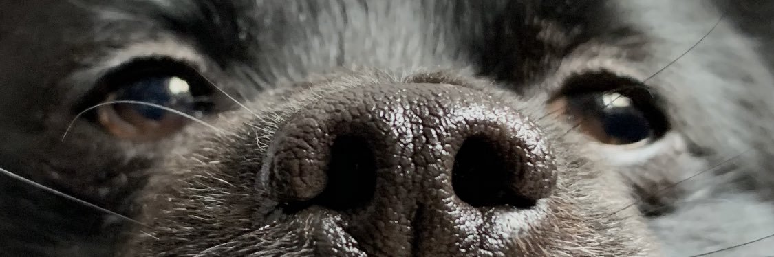joedonutcow's profile banner image