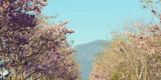 georamiirez's profile banner image