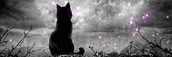 rslsrlsr's profile banner image