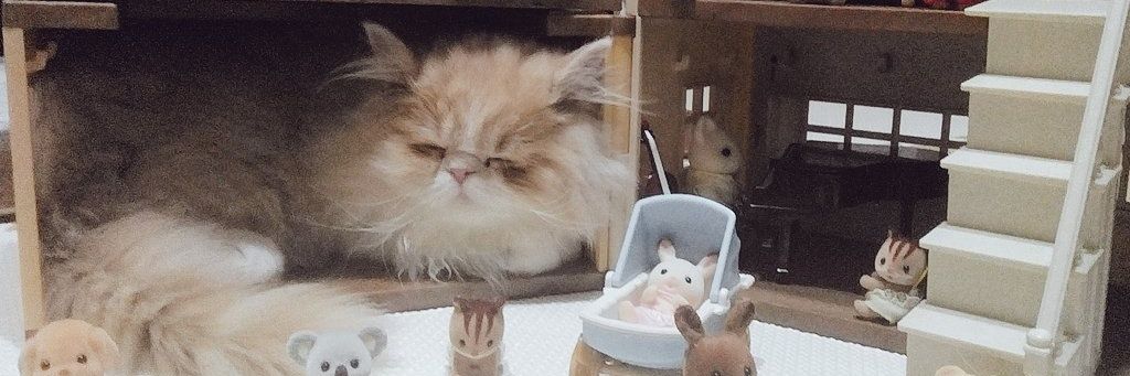 ひまわり💗 banner