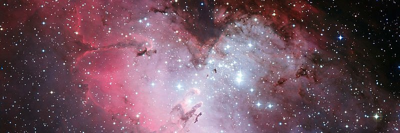 David⚡️LNZ banner