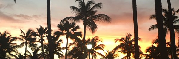 stephcha02 Profile Banner