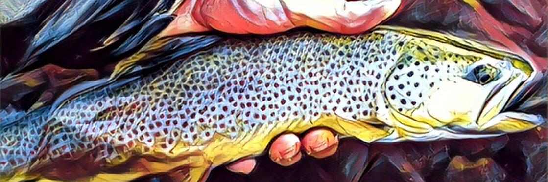 MagicValleyLure's profile banner image