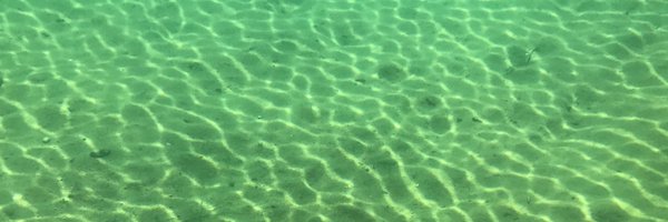 leoprieto Profile Banner