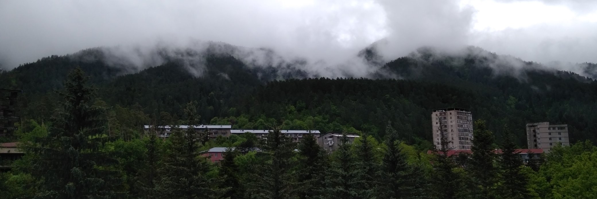 Evgenii Shkodin banner