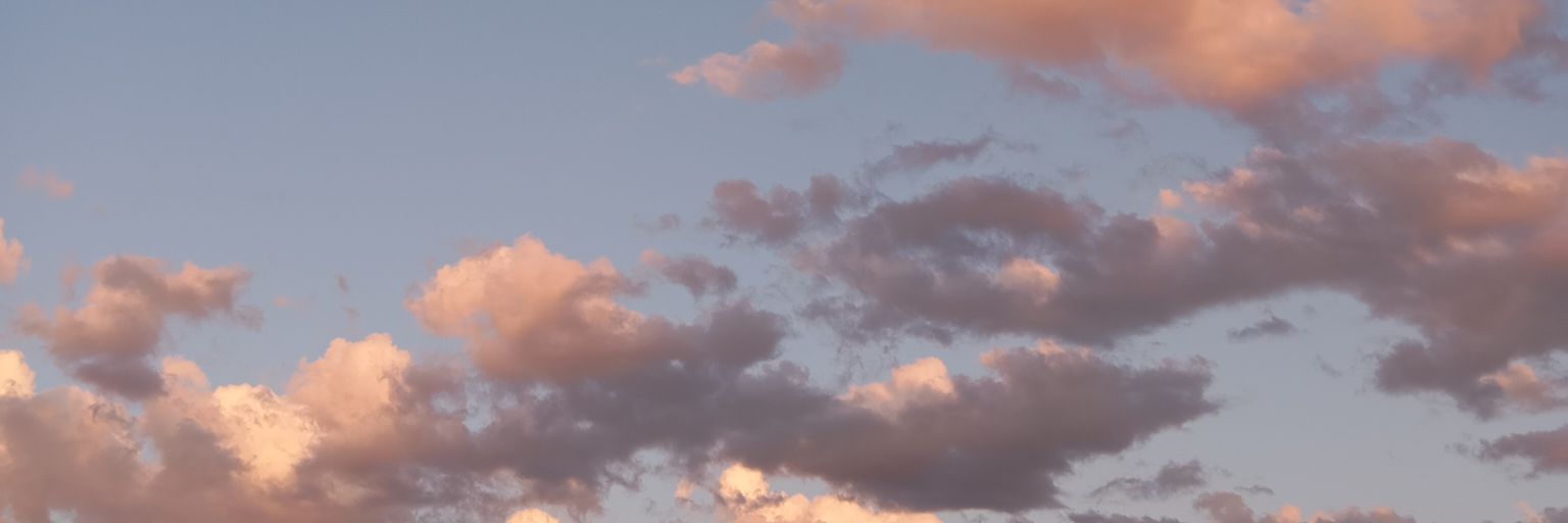 b🦋 banner