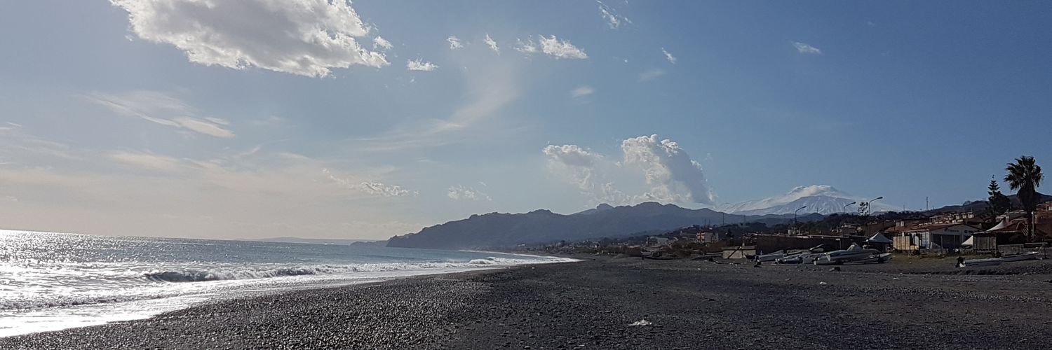 Angela D'Arrigo banner