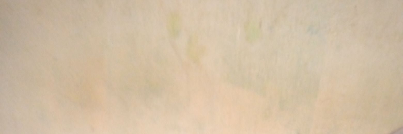 tehanget2402's profile banner image