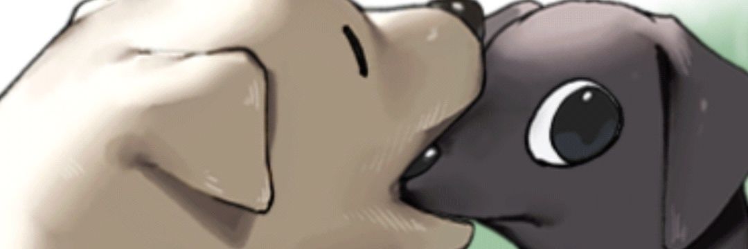 Iris_iris928's profile banner image