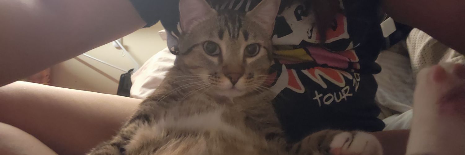 majinbootiful's profile banner image