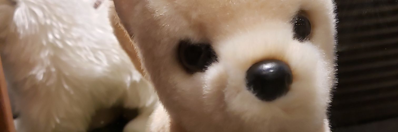 Fae_Spiration's profile banner image