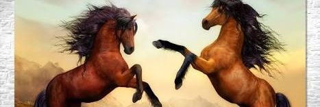 baah_tw's profile banner image