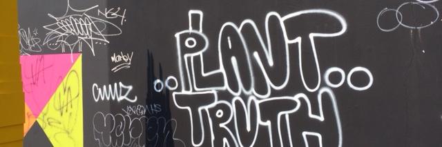 plantedinmiami's profile banner image