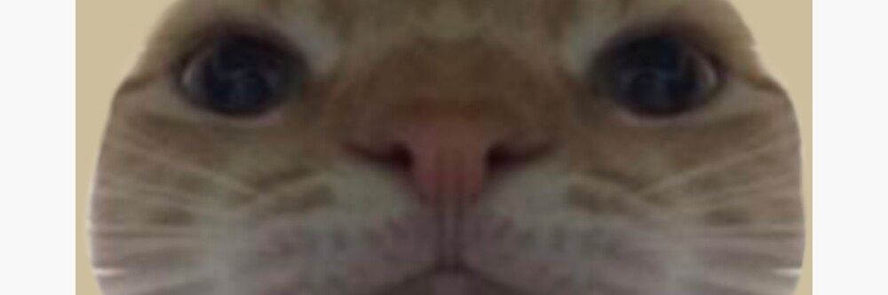 TherevKennedy's profile banner image