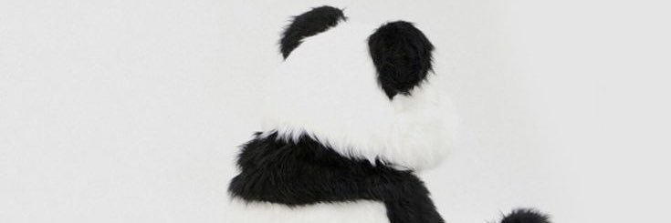 SShermin22's profile banner image