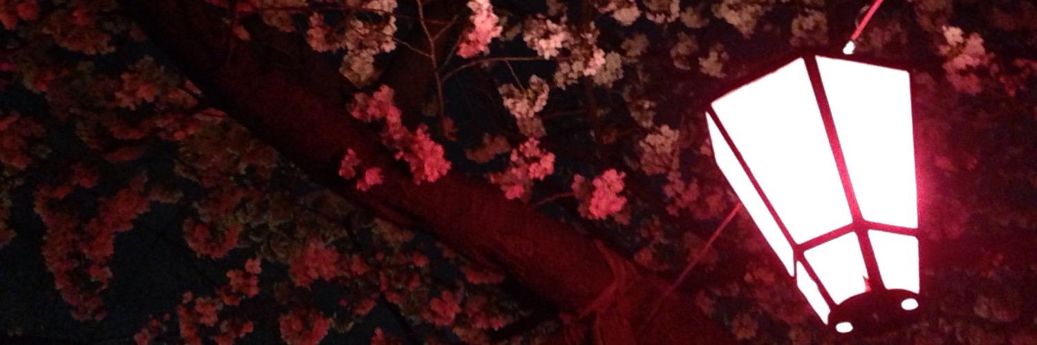 kouyou_24's profile banner image