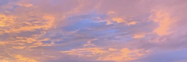 ellarob_'s profile banner image