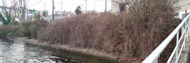 NorthLakeUnion's profile banner image