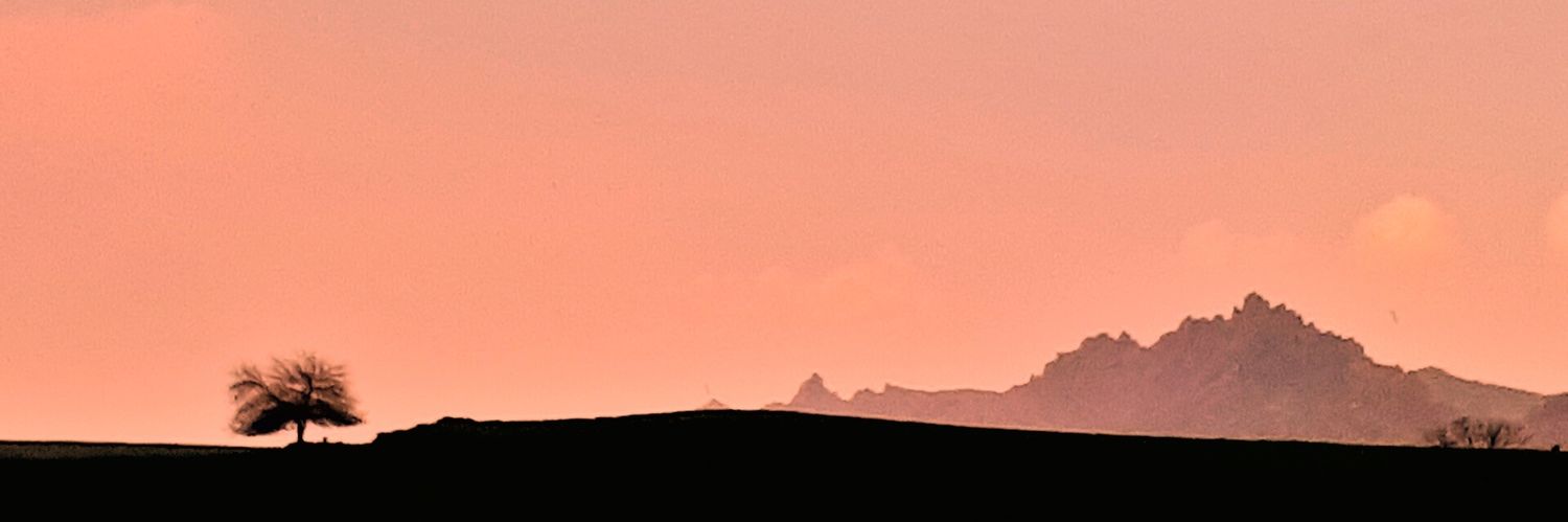 rewar_di's profile banner image