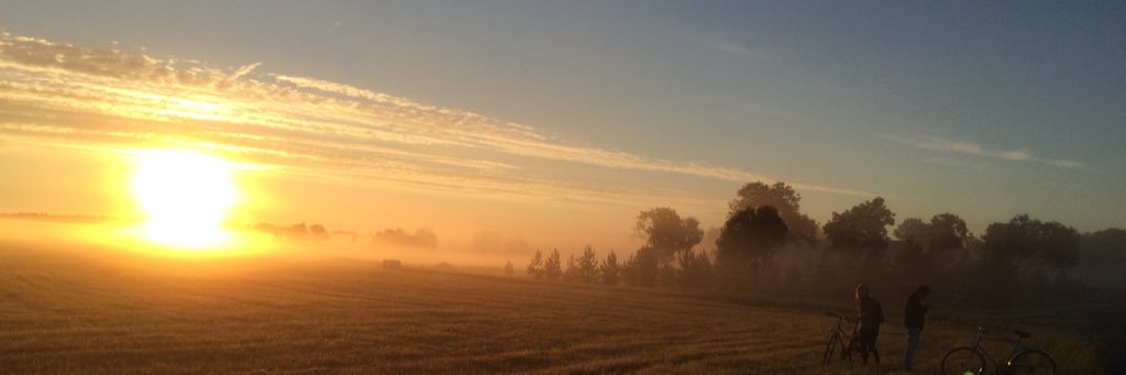 anderslindell's profile banner image