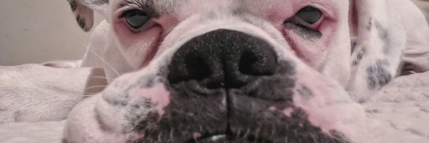 kevingomezf's profile banner image