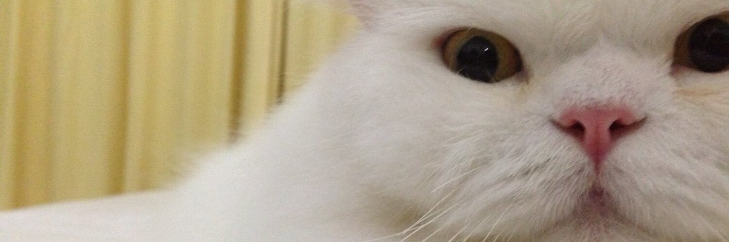 YessaAlexander's profile banner image