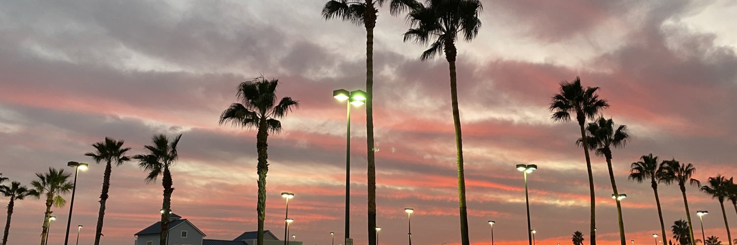 trillasslex's profile banner image