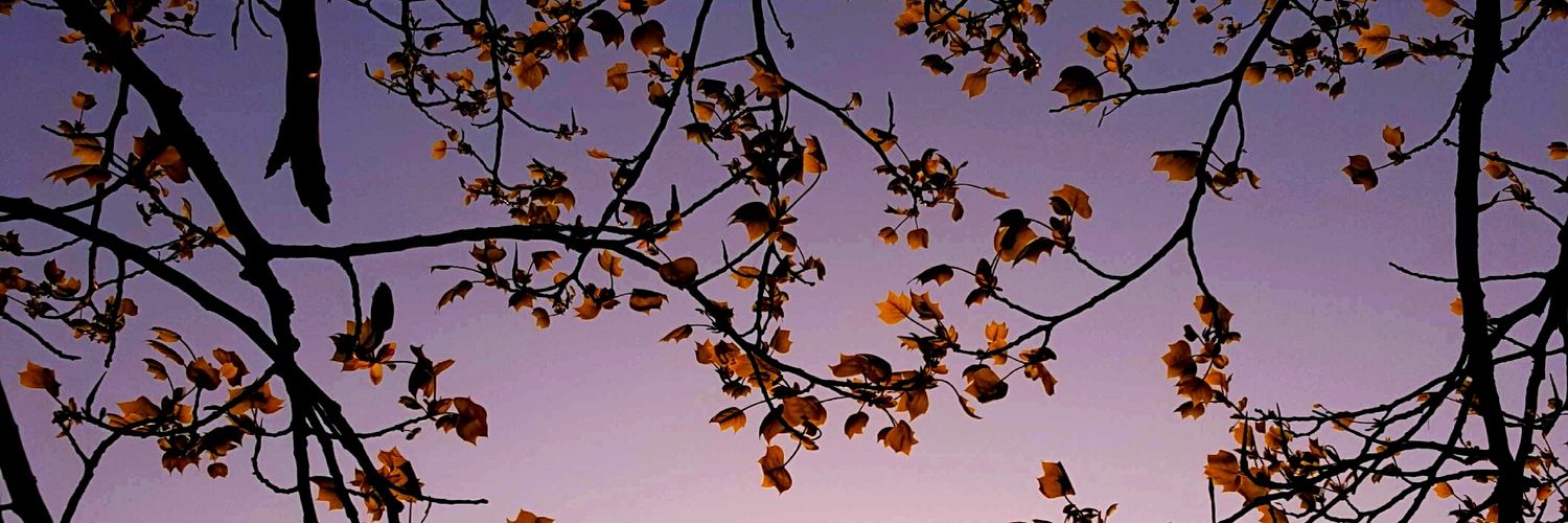 Iam_elar's profile banner image